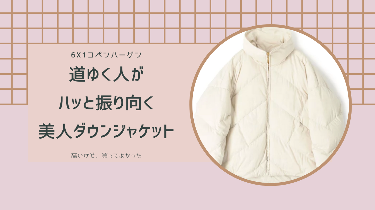 買って正解！シックスバイワンコペンハーゲンのハイカラーダウン 